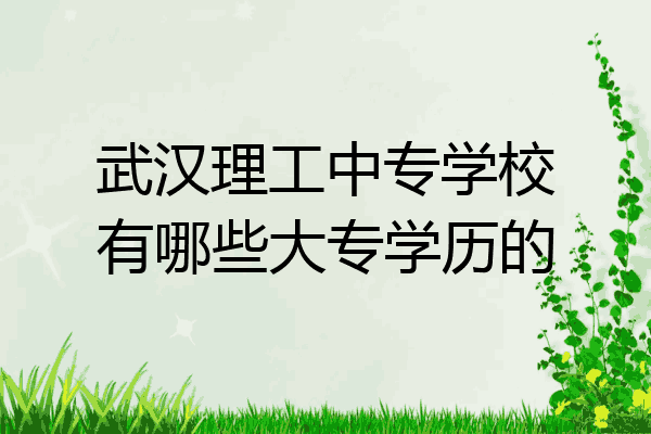 武汉理工中专学校有哪些大专学历的