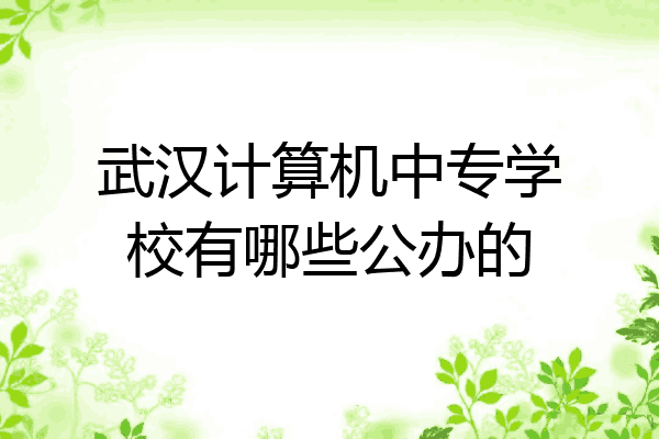 武汉计算机中专学校有哪些公办的