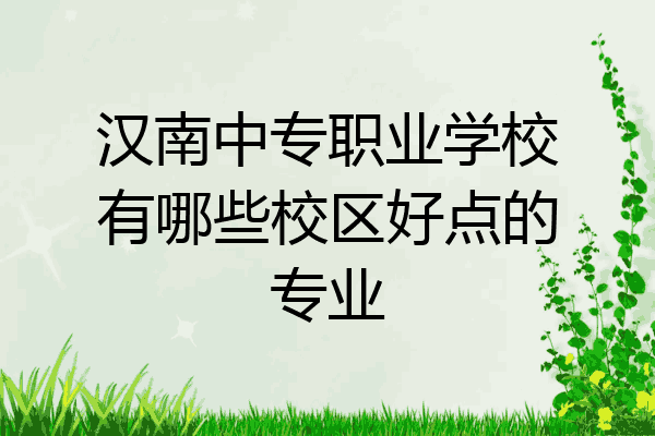 汉南中专职业学校有哪些校区好点的专业