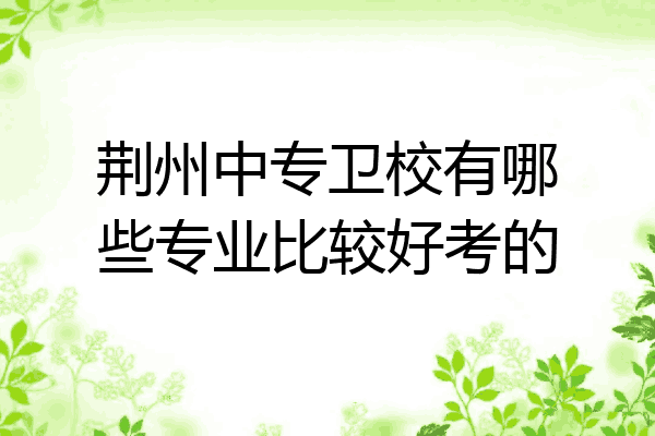荆州中专卫校有哪些专业比较好考的
