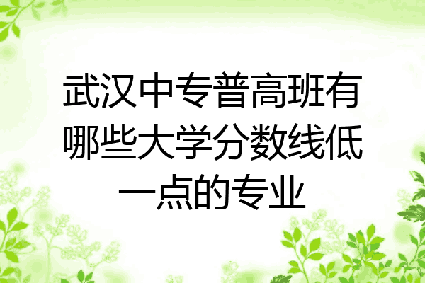武汉中专普高班有哪些大学分数线低一点的专业