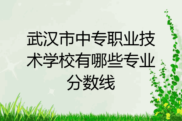 武汉市中专职业技术学校有哪些专业分数线