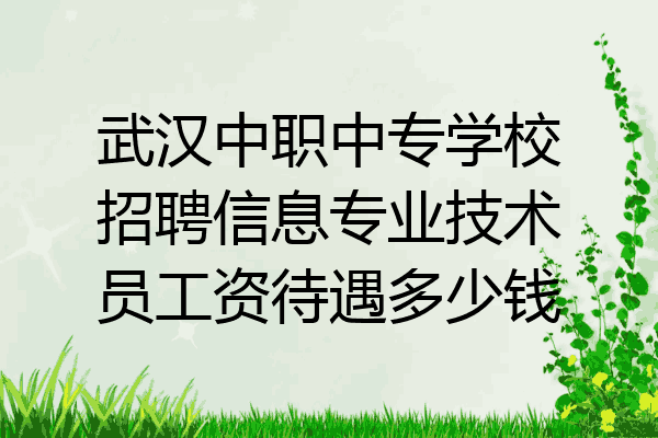 武汉中职中专学校招聘信息专业技术员工资待遇多少钱