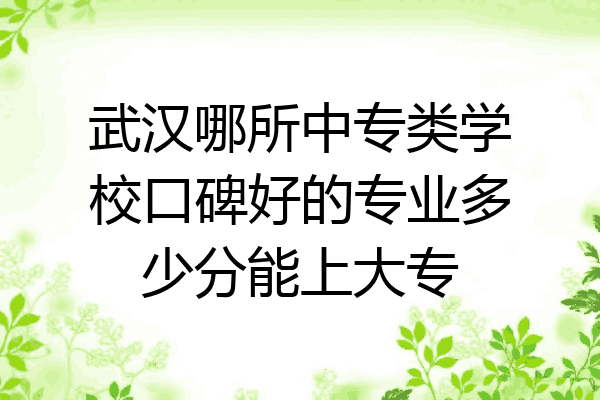武汉哪所中专类学校口碑好的专业多少分能上大专