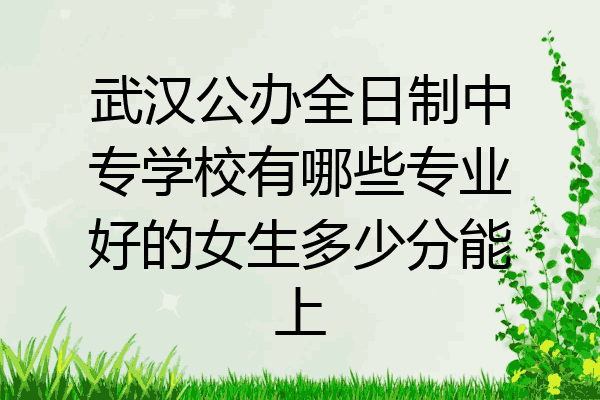 武汉公办全日制中专学校有哪些专业好的女生多少分能上