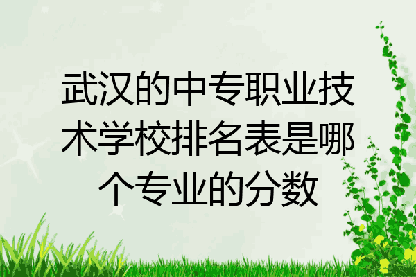 武汉的中专职业技术学校排名表是哪个专业的分数