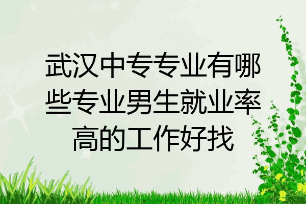 武汉中专专业有哪些专业男生就业率高的工作好找