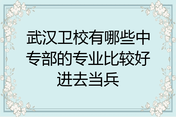 武汉卫校有哪些中专部的专业比较好进去当兵