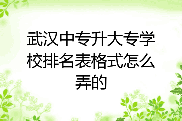 武汉中专升大专学校排名表格式怎么弄的