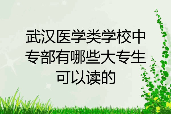 武汉医学类学校中专部有哪些大专生可以读的