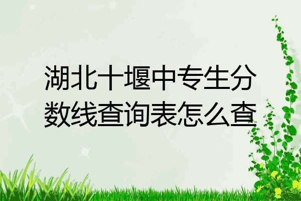 湖北十堰中专生分数线查询表怎么查