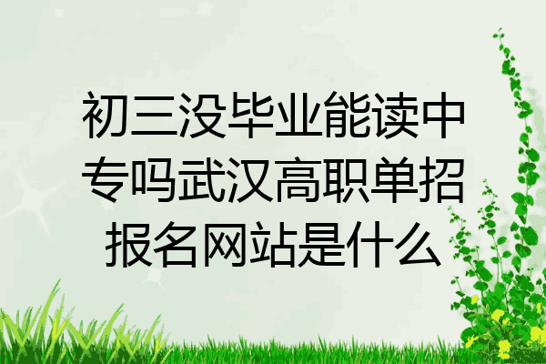 初三没毕业能读中专吗武汉高职单招报名网站是什么