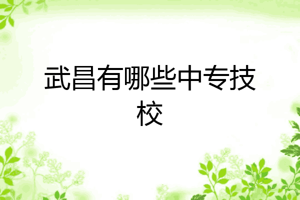 武昌有哪些中专技校