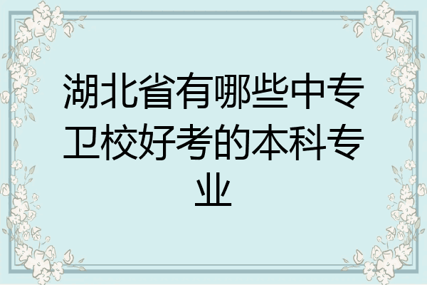 湖北省有哪些中专卫校好考的本科专业