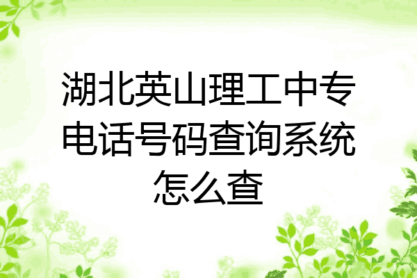 湖北英山理工中专电话号码查询系统怎么查