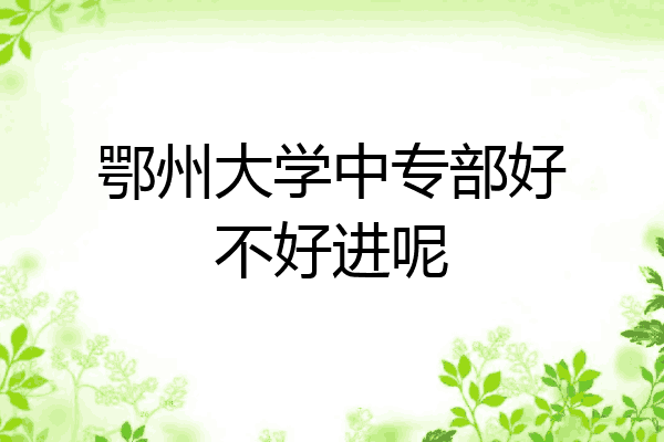 鄂州大学中专部好不好进呢