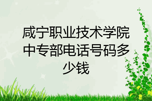 咸宁职业技术学院中专部电话号码多少钱