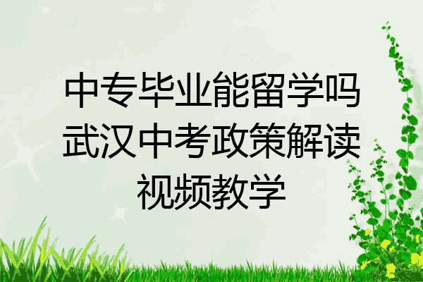 中专毕业能留学吗武汉中考政策解读视频教学