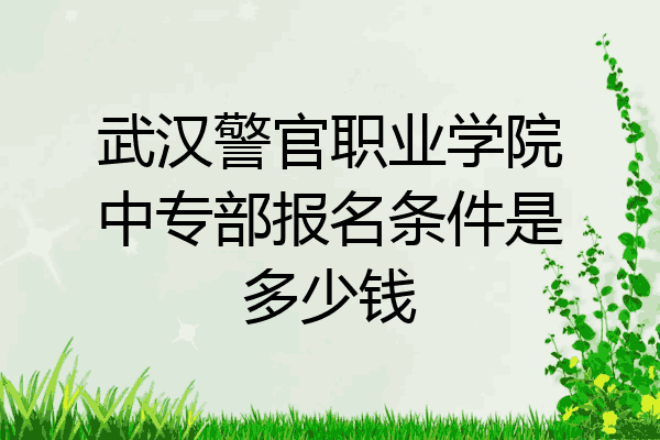 武汉警官职业学院中专部报名条件是多少钱