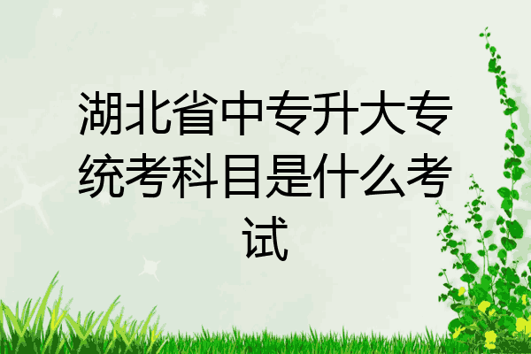 湖北省中专升大专统考科目是什么考试