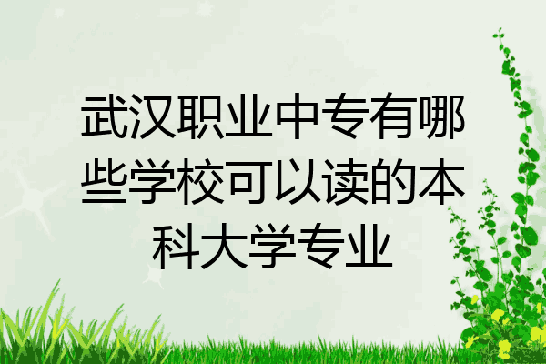 武汉职业中专有哪些学校可以读的本科大学专业