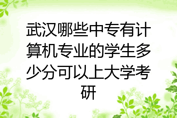 武汉哪些中专有计算机专业的学生多少分可以上大学考研