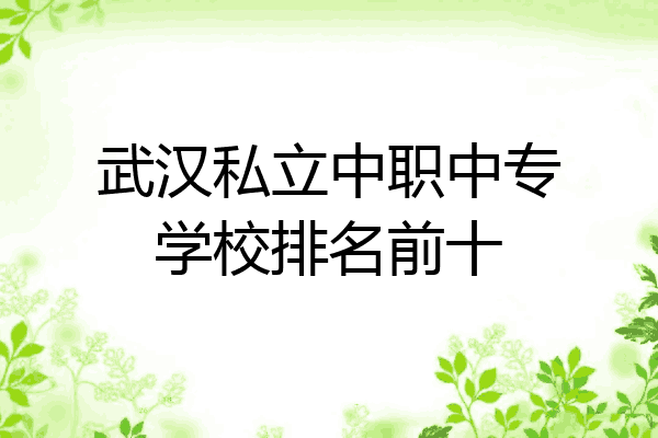 武汉私立中职中专学校排名前十