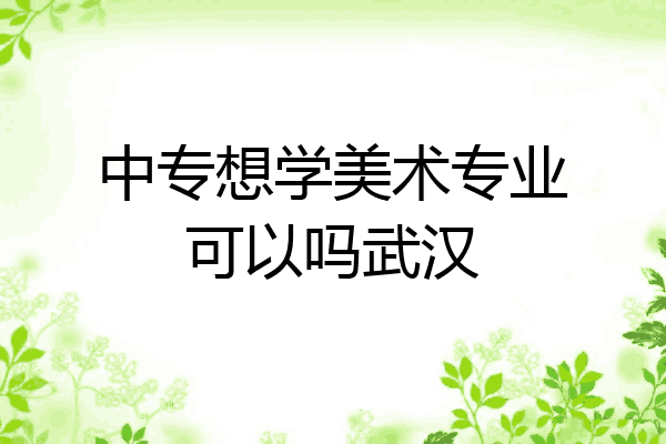 中专想学美术专业可以吗武汉