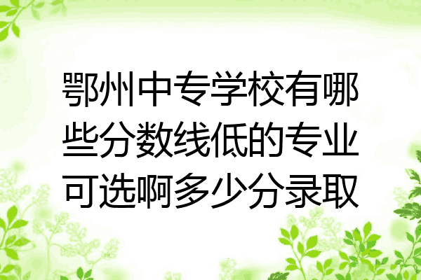 鄂州中专学校有哪些分数线低的专业可选啊多少分录取