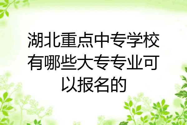 湖北重点中专学校有哪些大专专业可以报名的