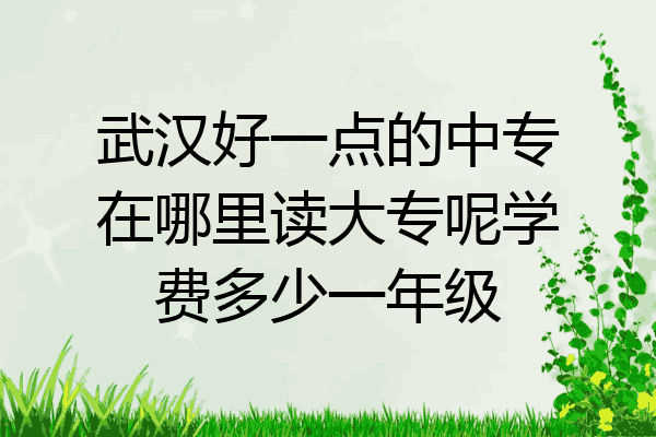武汉好一点的中专在哪里读大专呢学费多少一年级