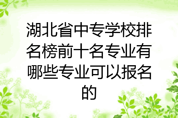 湖北省中专学校排名榜前十名专业有哪些专业可以报名的