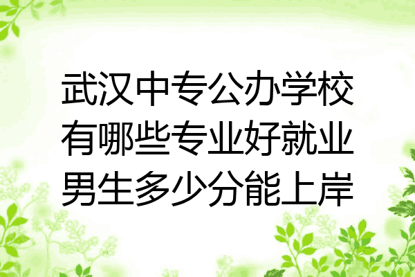 武汉中专公办学校有哪些专业好就业男生多少分能上岸