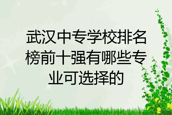 武汉中专学校排名榜前十强有哪些专业可选择的