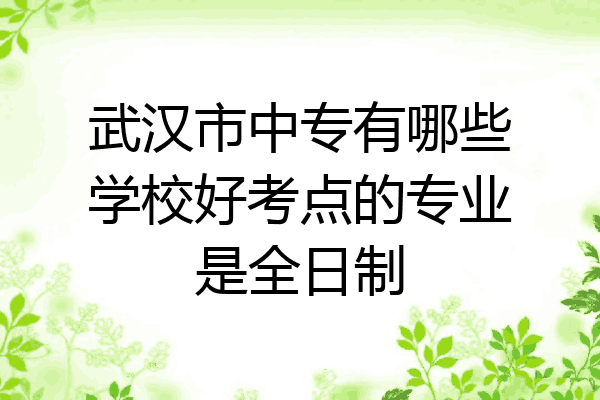 武汉市中专有哪些学校好考点的专业是全日制