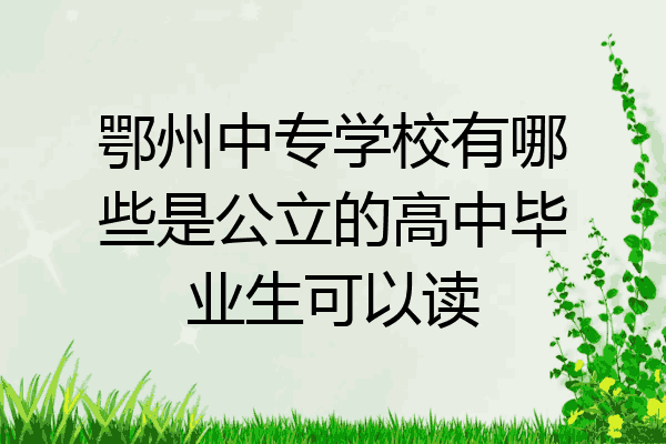 鄂州中专学校有哪些是公立的高中毕业生可以读