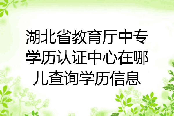 湖北省教育厅中专学历认证中心在哪儿查询学历信息