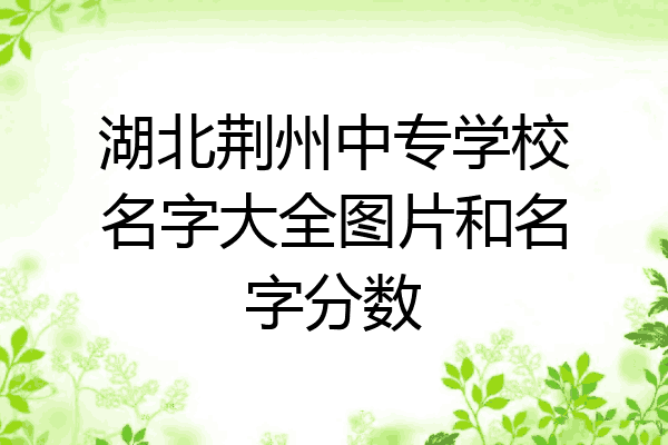湖北荆州中专学校名字大全图片和名字分数