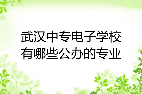 武汉中专电子学校有哪些公办的专业