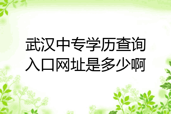 武汉中专学历查询入口网址是多少啊