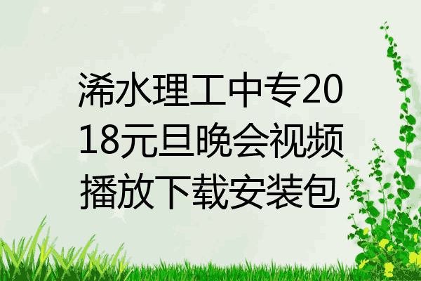 浠水理工中专2018元旦晚会视频播放下载安装包