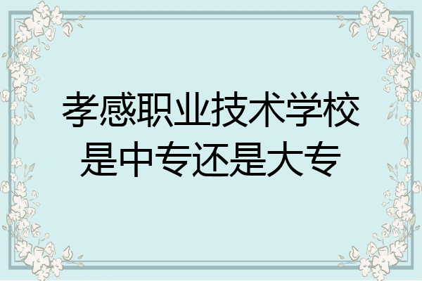 孝感职业技术学校是中专还是大专