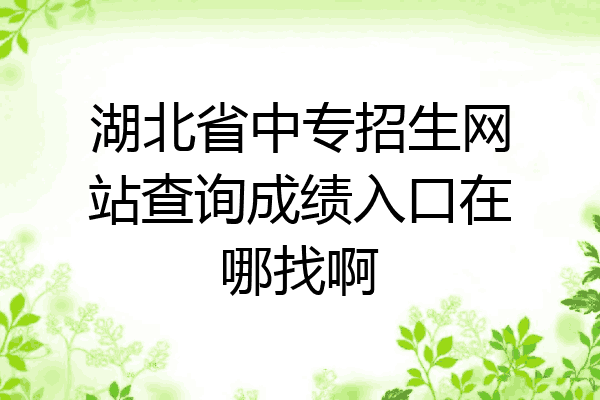 湖北省中专招生网站查询成绩入口在哪找啊