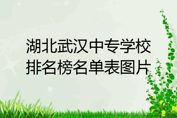 湖北武汉中专学校排名榜名单表图片