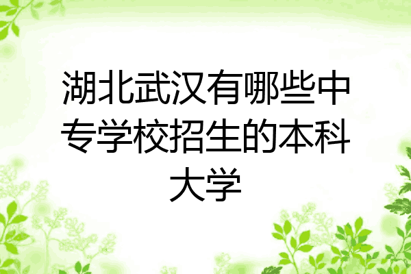 湖北武汉有哪些中专学校招生的本科大学