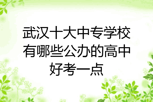 武汉十大中专学校有哪些公办的高中好考一点