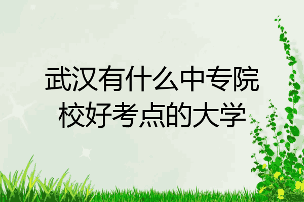 武汉有什么中专院校好考点的大学