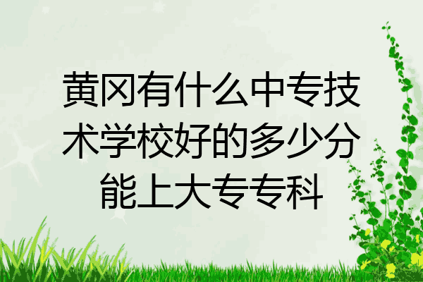 黄冈有什么中专技术学校好的多少分能上大专专科