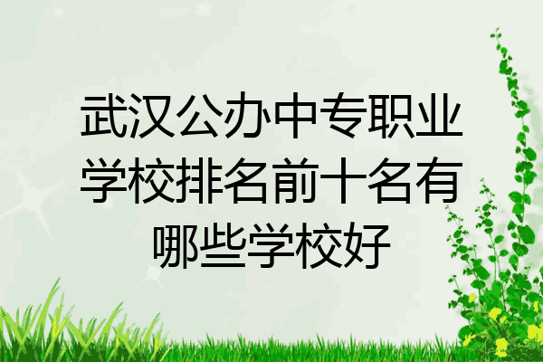 武汉公办中专职业学校排名前十名有哪些学校好