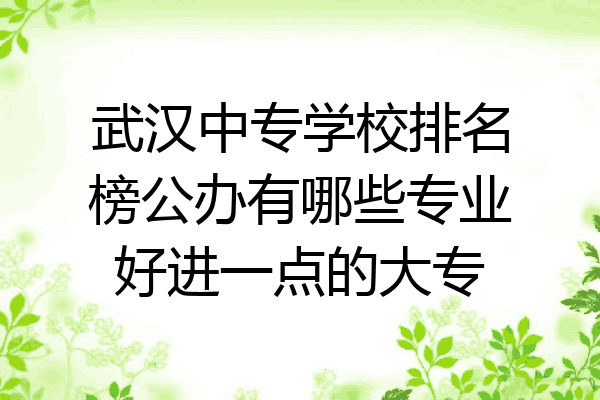 武汉中专学校排名榜公办有哪些专业好进一点的大专